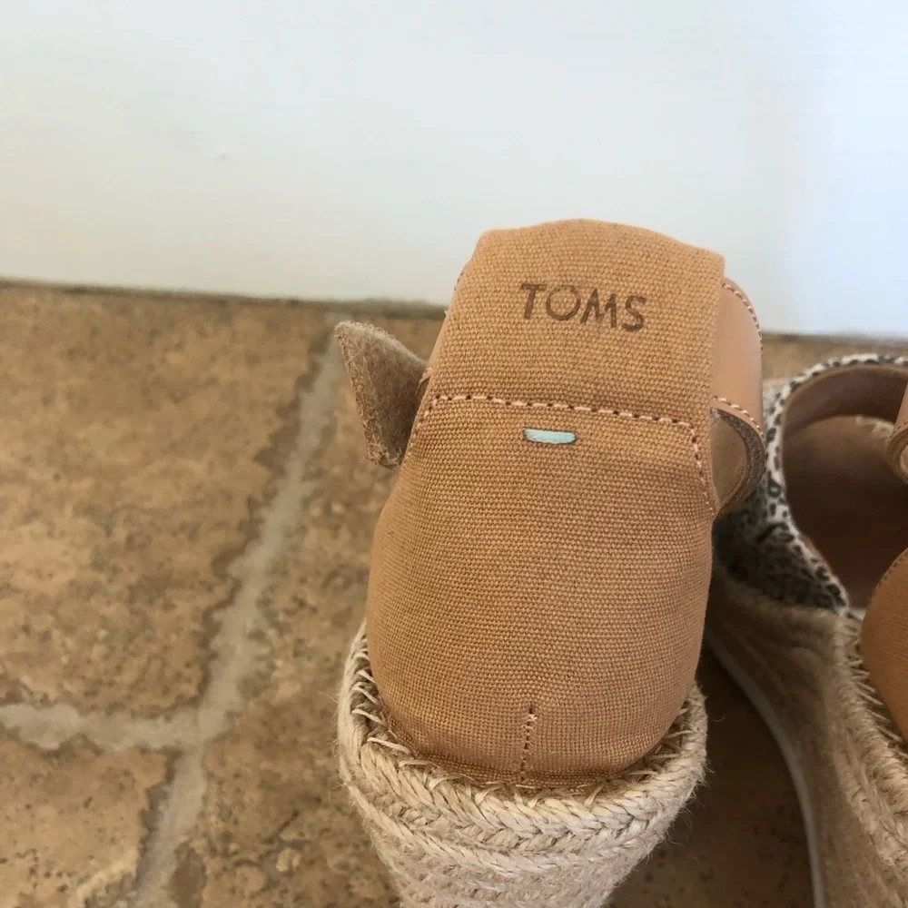 Toms from afternoon